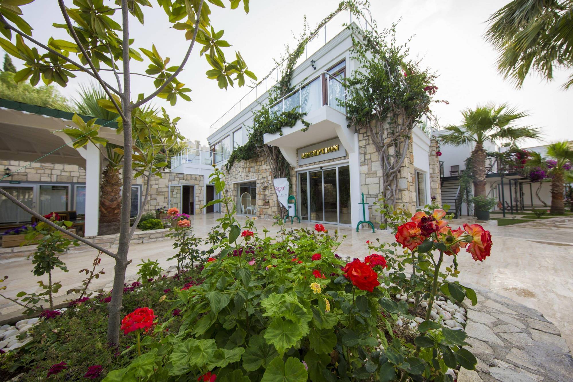 Anadolu 4*