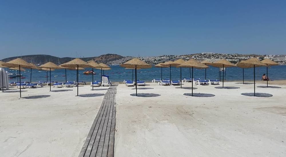 Anadolu 4*